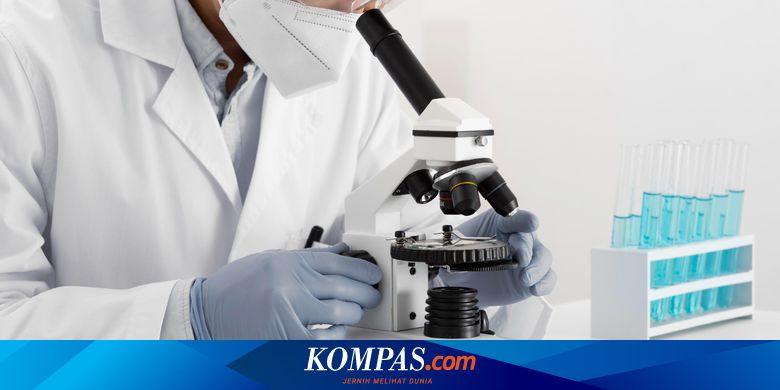 Langkah-Langkah Metode Ilmiah agar Mendapatkan Hasil yang Akurat