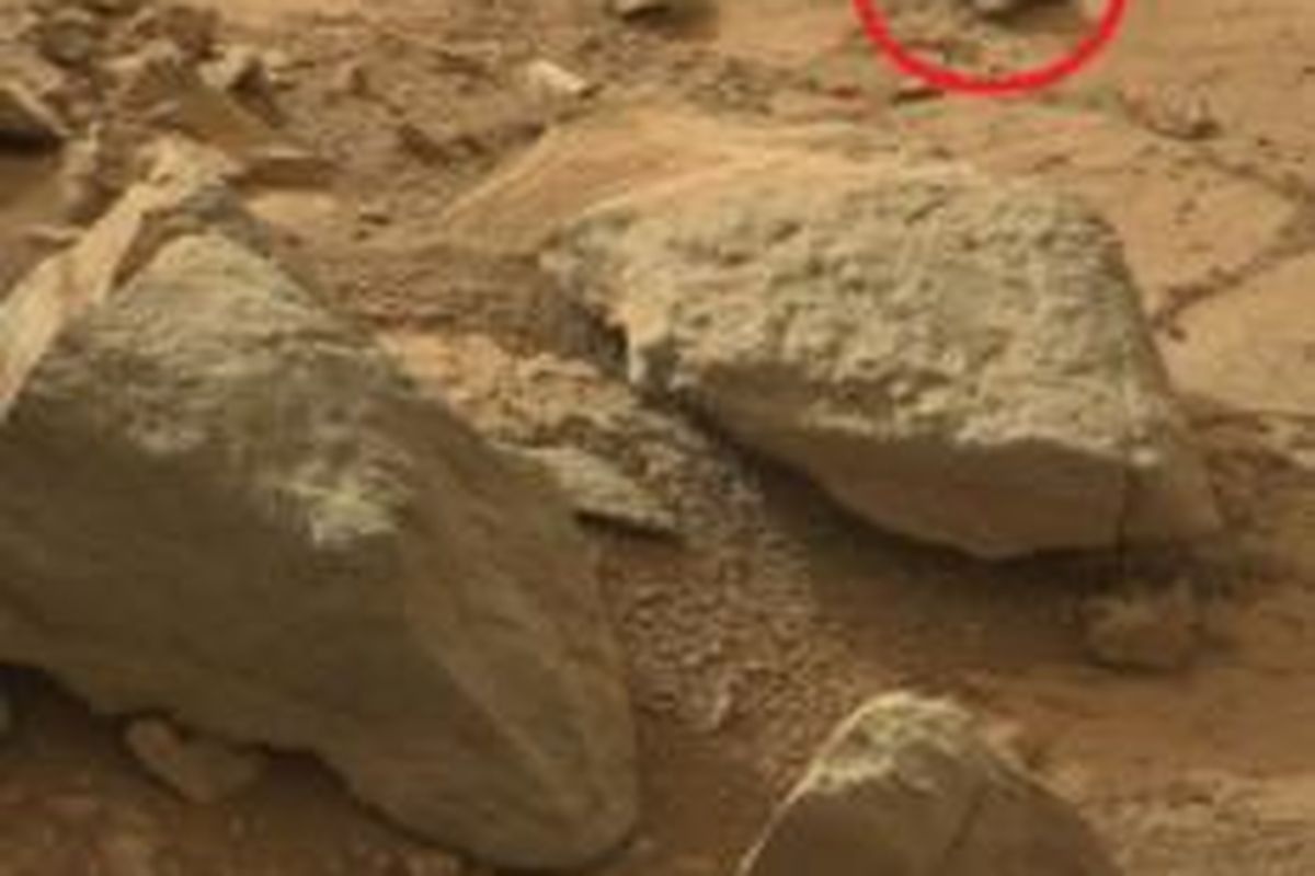 Wujud yang dilingkari dalam foto jepretan Curiosity, oleh Scott Waring, diklaim sebagai iguana di Mars. 