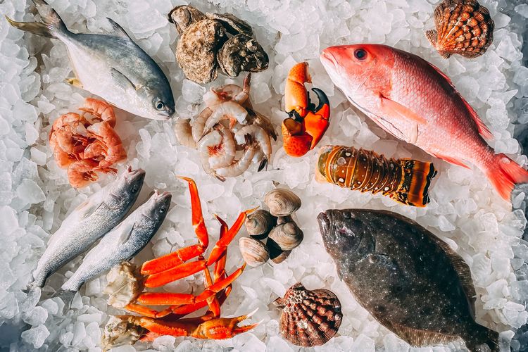 Ilustrasi bahaya seafood bagi penderita asam urat.