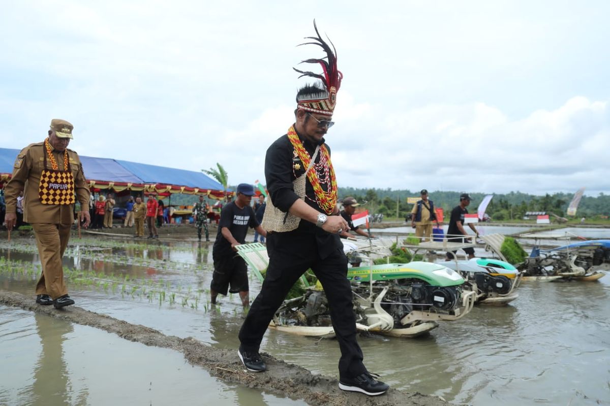 Menteri Pertanian Syahrul Yasin Limpo (Mentan SYL) menggelar penanaman padi di Kota Manokwari, Papua Barat, Selasa, (25/10/2022).
