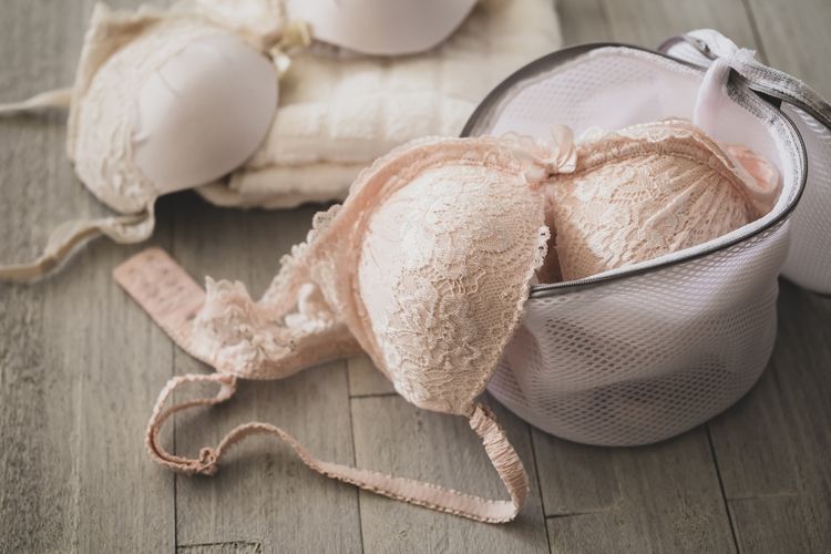 Ilustrasi kantong cuci bra. Berikut cara mencuci bra yang benar 