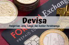 Pengertian Devisa, Jenis, Fungsi, dan Sumber Perolehannya