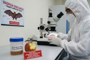 Untuk Pertama Kali, AI Berhasil Ciptakan Virus Biologis Bukan Virus Komputer