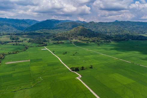 Kelembapan Udara: Definisi dan Jenisnya