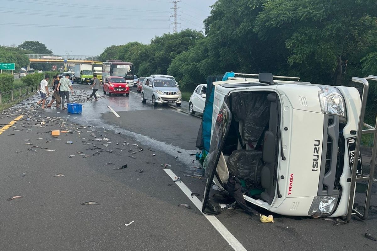 Alami Pecah Ban, Mobil Pikap Bawa Ikan Lele Terbalik di Tol Tangerang Merak