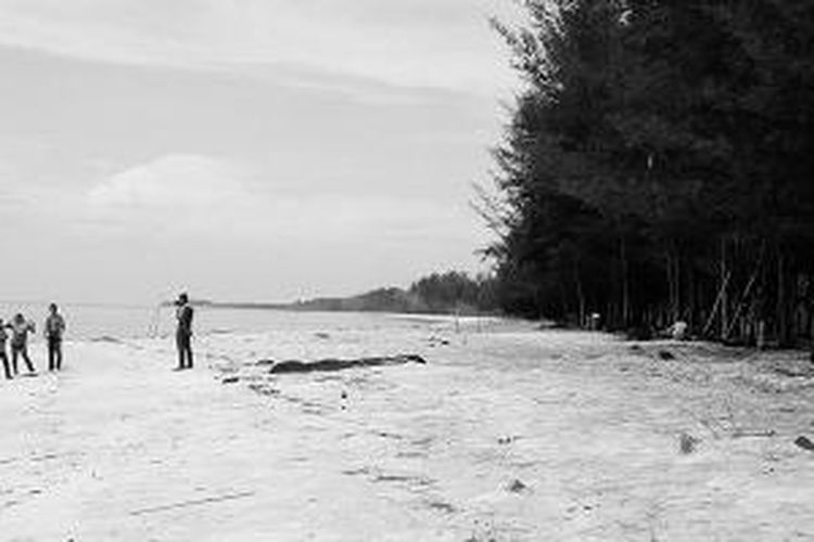 Wisatawan berfoto bersama di Pantai Sungai Bakau, Kabupaten Seruyan, Kalimantan Tengah, Selasa (25/2/2014). Pantai berpasir putih yang juga dikenal dengan Pantai Seribu Cemara itu merupakan muara Sungai Bakau.