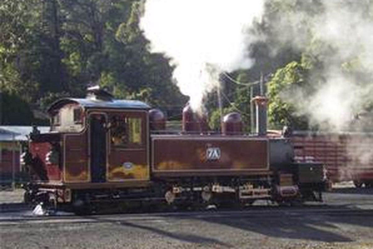 Puffing Billy merupakan jalur kereta api yang dibangun tahun 1900 di Australia. Jalur dibangun untuk mengangkut kayu dan kentang ke kawasan yang sulit dijangkau di daerah pegunungan. Saat ini, nama Puffing Billy juga populer untuk kereta api tua yang beroperasi di jalur ini. 