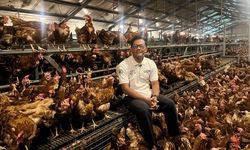 Jejak Muhsin, Kembangkan Peternakan Ramah Lingkungan