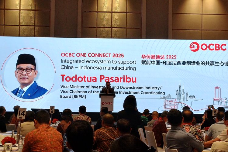 RI Genjot Hilirisasi Mineral, Terutama untuk Logam Tanah Jarang, Bidik Kolaborasi dengan China