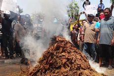 Harga Anjlok, Petani Bakar Tembakau di Depan Gedung Dewan