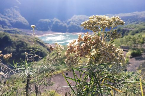 Kasus Covid-19 Melandai, Wisata Gunung Kelud Diserbu Pengunjung