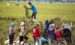 Pertumbuhan Ekonomi dan Ujian Kesejahteraan Petani