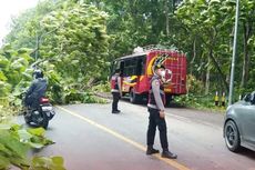Dampak Cuaca Ekstrem di Sumbawa, Pohon Tumbang Sebabkan Arus Utama menuju Bima Sempat Putus