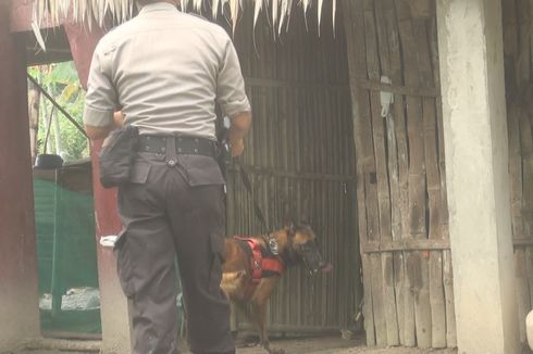 Anjing Pelacak Temukan Bercak Darah Saat Olah TKP Ulang Kasus Mutilasi di Ogan Ilir