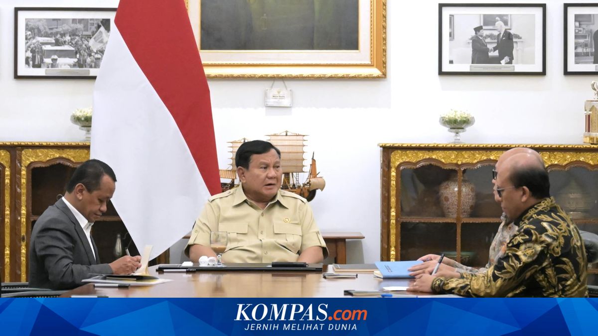 Panggil Bahlil hingga Rosan, Prabowo Minta PLN Bertransformasi, Targetkan Penggunaan Panel Surya 100 GW