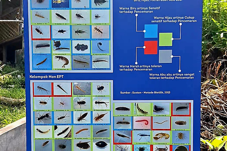 Papan indikator di Laboratorium Biotilik Taman Kehati AQUA Klaten menampilkan jenis-jenis makroorganisme air sebagai penanda tingkat pencemaran sungai.