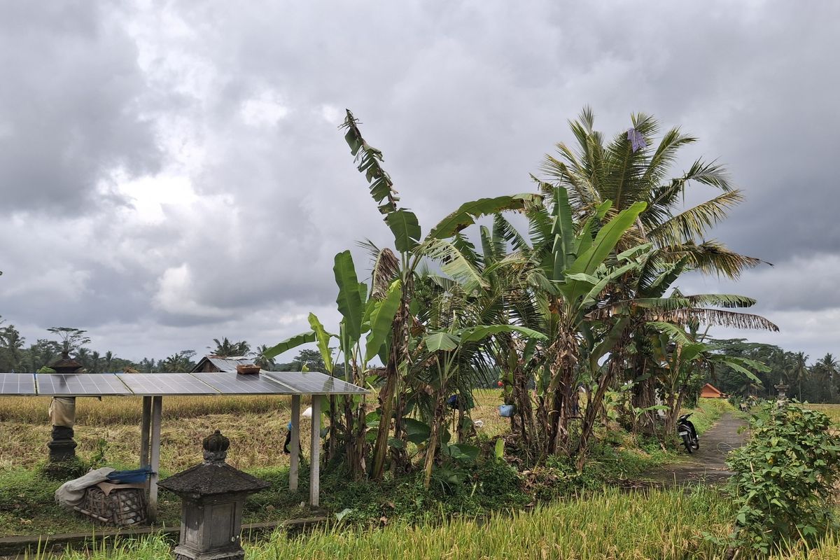 Salah satu panel surya yang terdapat di persawahan Desa Keliki, Kecamatan Ubud, Kabupaten Gianyar, Provinsi Bali, pada Rabu (21/2/2025). KOMPAS.COM/ Yohanes Valdi Seriang Ginta
