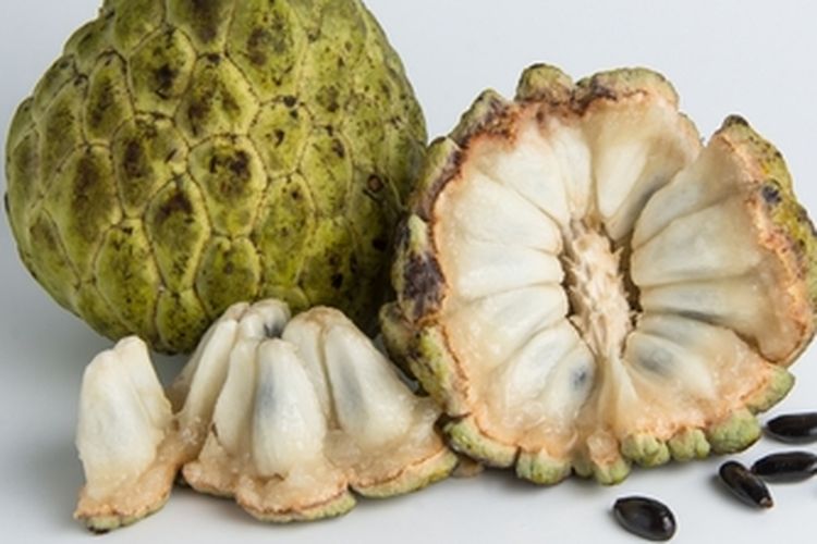 Ilustrasi buah srikaya