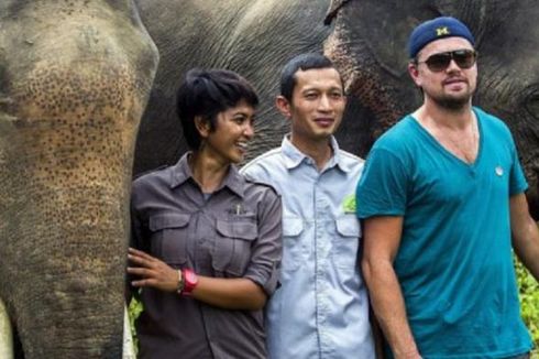 Kenapa Malah Leonardo DiCaprio yang Promosikan Indonesia?