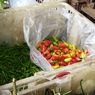 Dalam Sepekan, Harga Cabai Rawit Merah di Pasar Kramatjati Naik 60 Persen, Tembus Rp 80.000 Per Kilogram