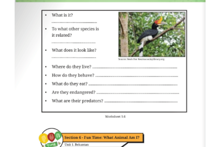 Kunci Jawaban Bahasa Inggris Kelas 9 Halaman 40: Helmeted Hornbill