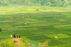 Bukit Selong: Daya Tarik, Harga Tiket, Jam Operasional, dan Rute