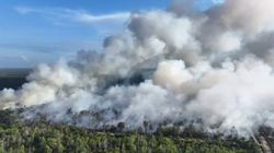 Karhutla Awal 2026 Naik Dibandingkan Tahun El Nino 2019 dan 2023, Ada Apa? 