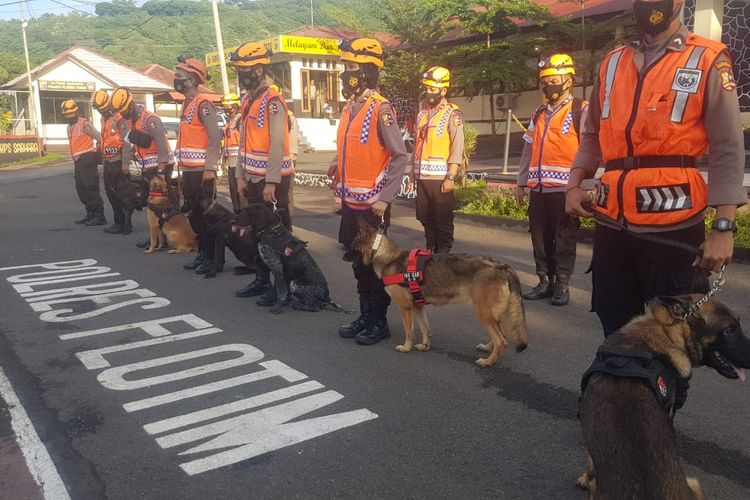 Enam anjing pelacak saat berada di Mapolres Flores Timur