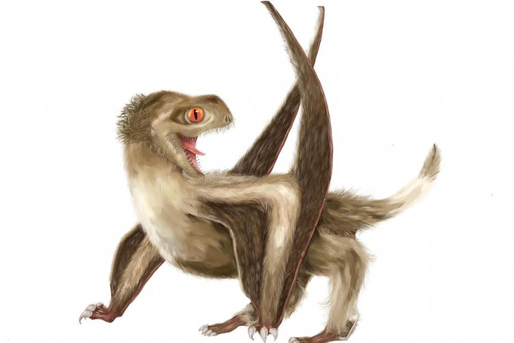 ilustrasi pterosaurus