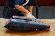 Ikan Tuna Mengandung Merkuri, Ini Cara Aman Mengonsumsinya 