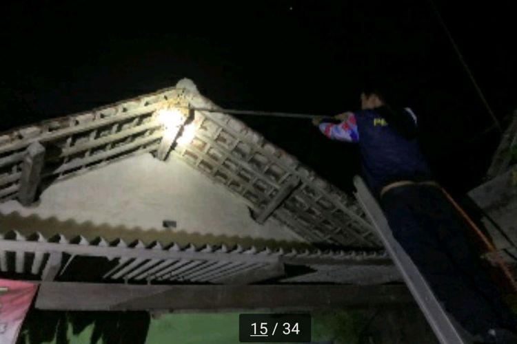 Ternyata Ini yang Membuat Tawon Datang dan Bikin Sarang di Rumah