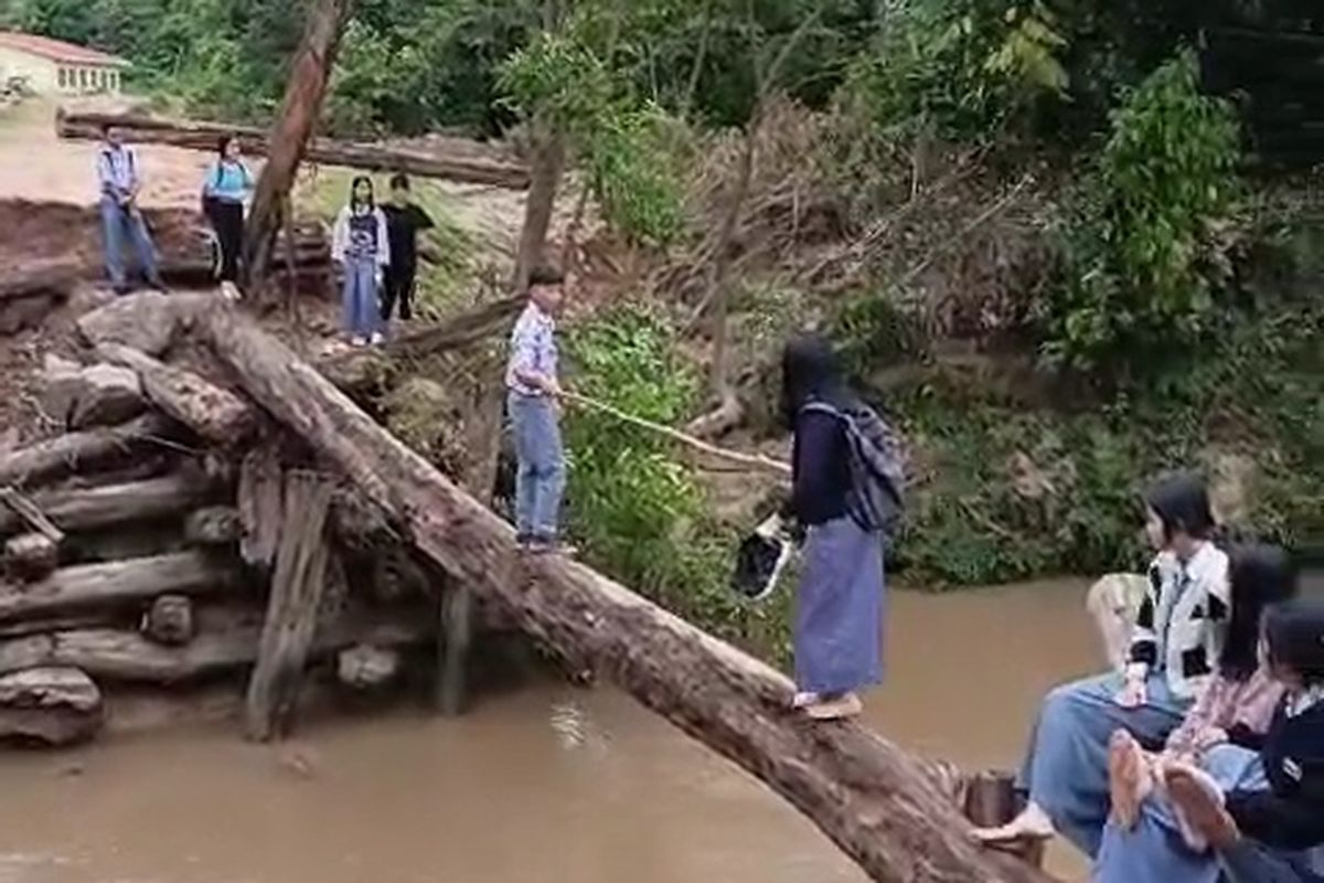 Siswa SMA di Krayan Bertaruh Nyawa Meniti Balok Kayu Seberangi Sungai Menuju Sekolah