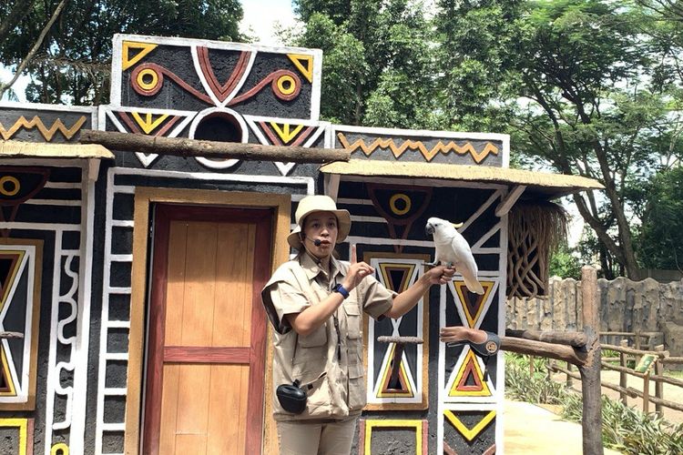 Pertunjukan edukasi satwa di Enchanting Valley by Taman Safari Indonesia. Setiap pukul 10.30 WIB Senin-Jumat, pengunjung bisa menonton Animal Edushow. Pertunjukan ini tersedia dua kali saat akhir pekan, yakni pukul 10.30 WIB dan 14.00 WIB.