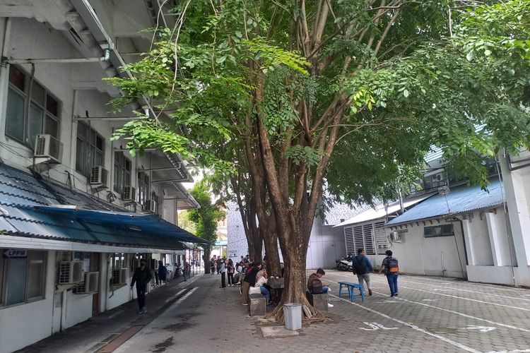 DPR (Dibawah Pohon Rindang), sebutan tempat nongkrong dan mengerjakan tugas mahasiswa Universitas Dian Nuswantoro (Udinus) Semarang, Senin (24/10/2022).