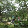 Panduan Lengkap ke Taman Potret, Area Hijau nan Gratis di Tangerang