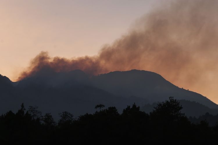 Walhi Jateng Desak Audit Lingkungan Pascakarhutla di Tiga Gunung, Tak Cukup Reboisasi