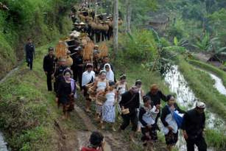 Iring-iringan warga adat yang mengarak ratusan ikat padi pada acara Seren Taun menuju Kampung Gede Kasepuahan Cipta Gelar di Desa Sirnaresmi, Kecamatan Cisolok, Sukabumi, Jawa Barat, Minggu (18/9/2016).