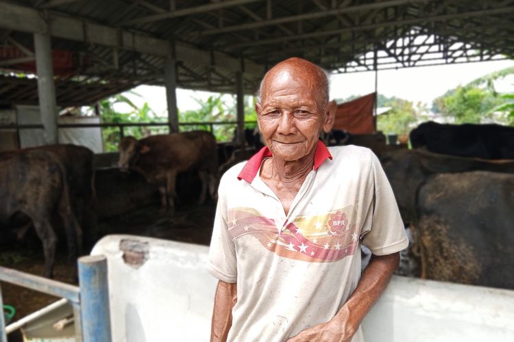 Rahasia Sukses Peternak Sapi: Apakah Jamu Herbal Efektif Cegah PMK ?