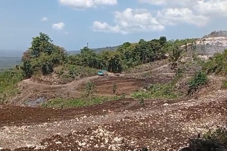 Pengelola Pastikan 17 Hektar Bukit di Pangandaran untuk Kebun Durian, Bantah Jadi Pabrik Semen