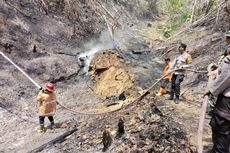Lokasi Kebakaran di Lampung Susah Dijangkau, Pemadam Gabungan Jalan Kaki Bawa Semprotan