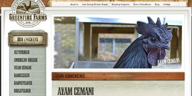 Situs peternakan AS, Greenfire Arms yang menawarkan Ayam Cemani