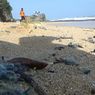 Nekat Datangi Pantai di Gunungkidul yang Belum Dibuka, Puluhan Warga Disengat Ubur-ubur