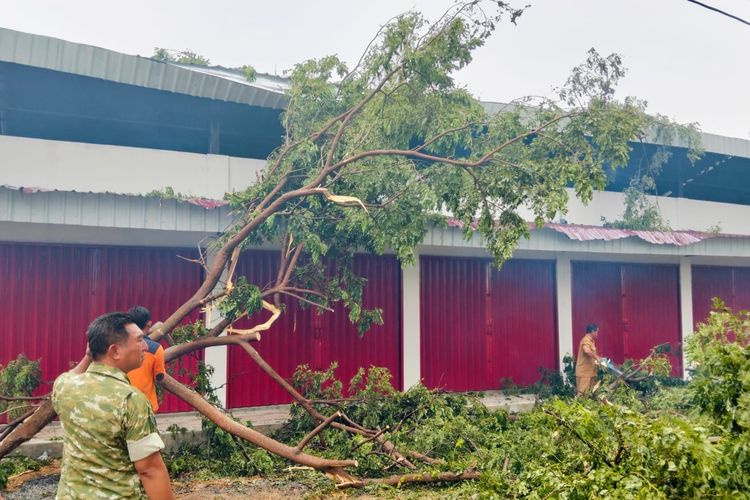 Hujan Angin Terjang Kudus: Pohon Tumbang di Sejumlah Lokasi, Ada yang Menimpa KDMP