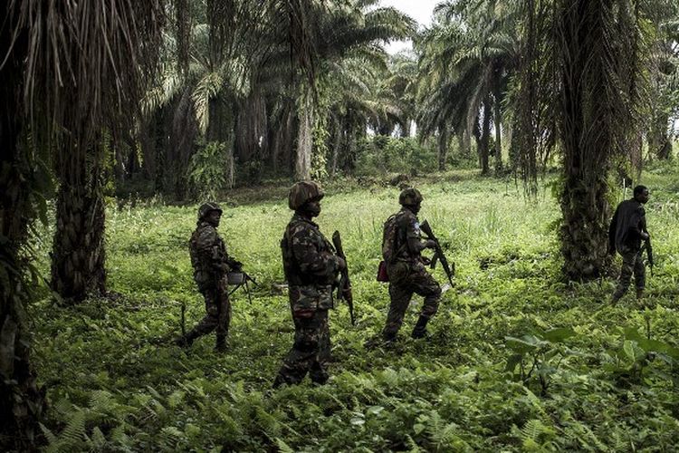 Misi Stabilisasi Organisasi Perserikatan Bangsa-Bangsa di Republik Demokratik Kongo (MONUSCO), termasuk Pasuka Garuda dari TNI sudah dikirimkan melawan pemberontak Pasukan Demokratik Sekutu Uganda (ADF) di Beni bahkan sejak 2018.