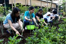 “Urban Farming” Diharapkan Dorong Ekonomi Masyarakat