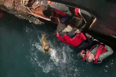 Penyelamatan Dramatis Imigran di Perairan Membeku Inggris, Puluhan Orang Berteriak Minta Tolong dari Kapal yang Hampir Tenggelam