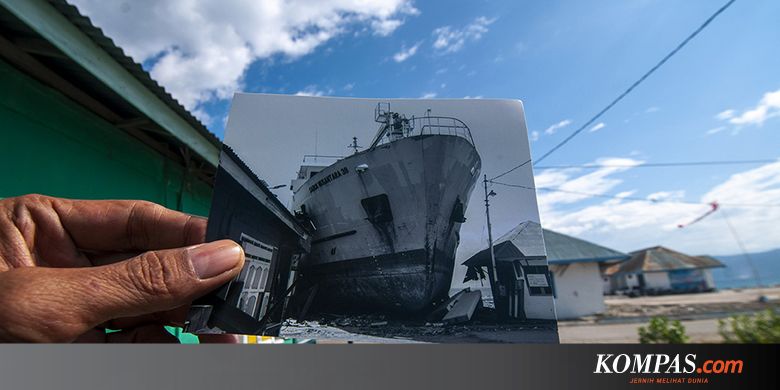 Tanggapan Ahli soal Potensi Penyebaran Penyakit Pasca-Tsunami Besar