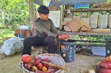 Ini Perubahan Penting dalam Draf RUU KUHAP Masukan dari Rakyat