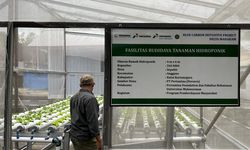 Lestarikan Lingkungan, Program Hutan Lestari Pertamina Tanam 1,2 Juta Mangrove  