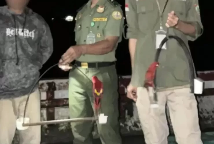 2 Nuri Maluku Diamankan dari Kapal di Banda, BKSDA Perketat Pengawasan Jalur Laut